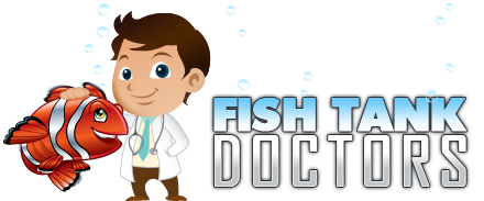 Fish Tank Doctors – Aquarium Services